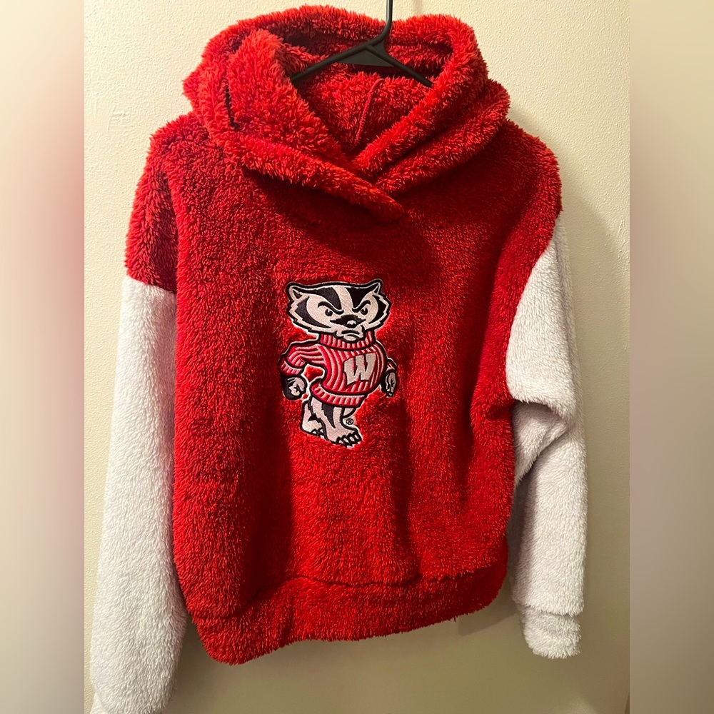 Badger hoodie